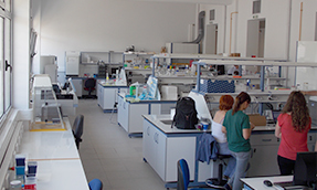 Εργαστήριο Μοριακής Βιολογίας